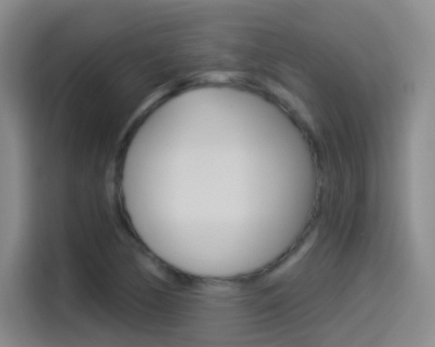 X0000114551170200910190945