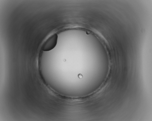 X0000114551173200910190945