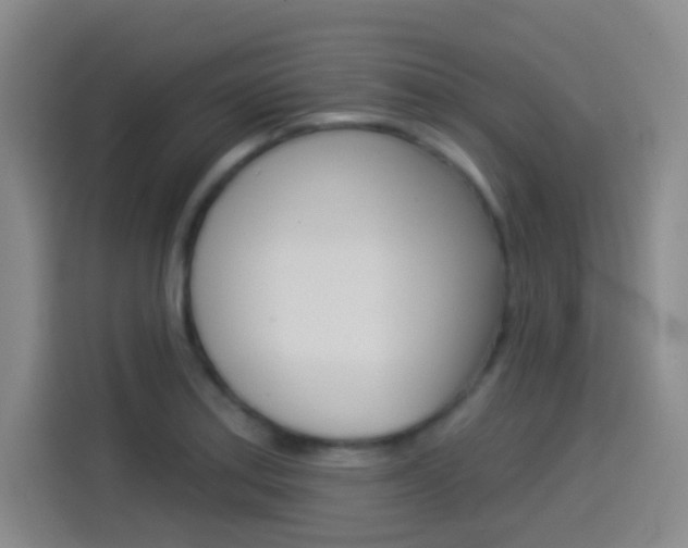 X0000114551179200910190945
