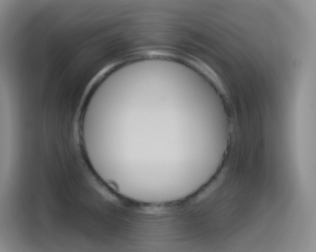 X0000114551182200910190945