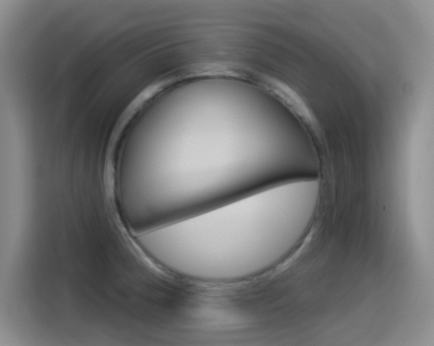 X0000114551188200910190945