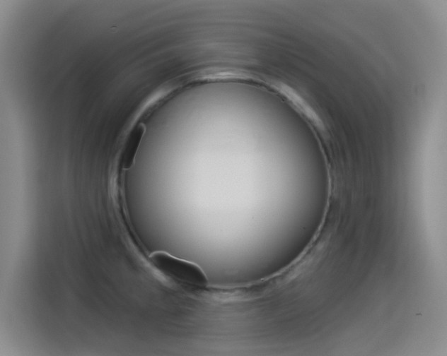 X0000114551189200910190945