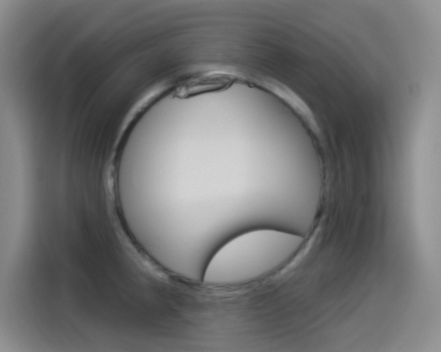X0000114551190200910190945