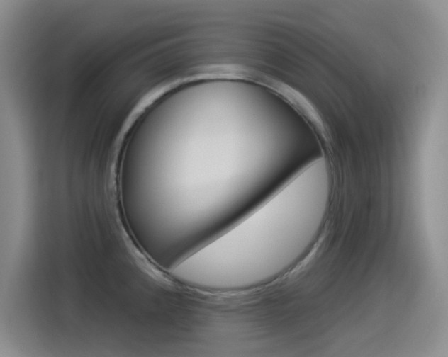 X0000114551192200910190945