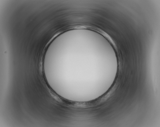 X0000114551194200910190945