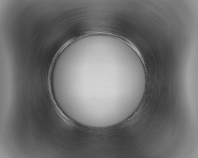 X0000114551195200910190945