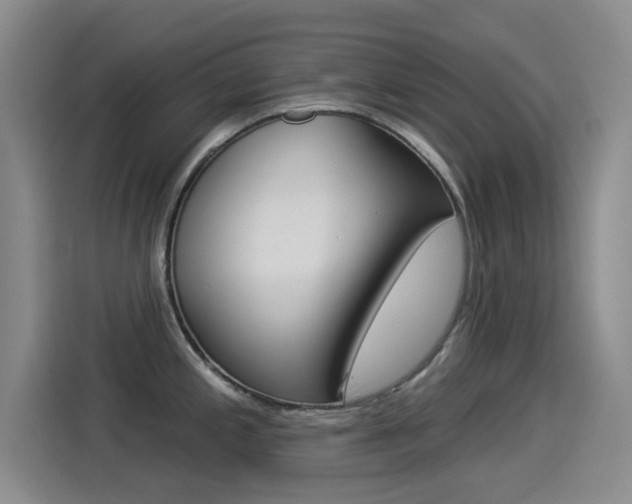 X0000114551197200910190945