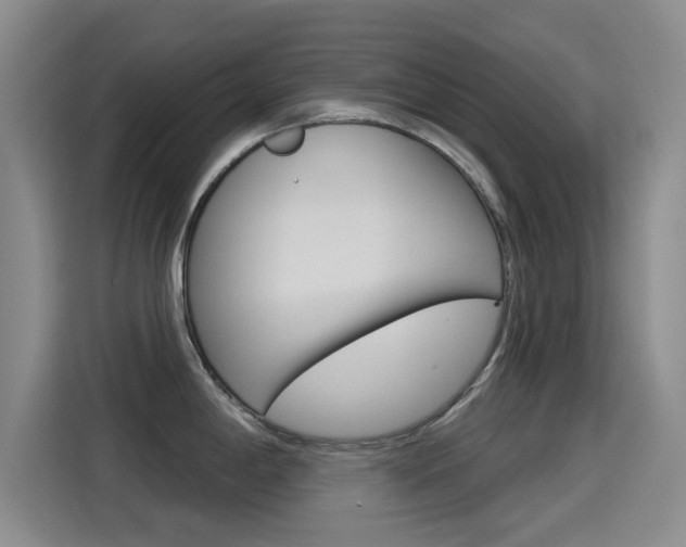 X0000114551198200910190945