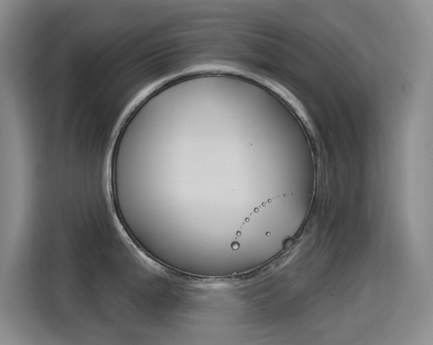 X0000114551199200910190945