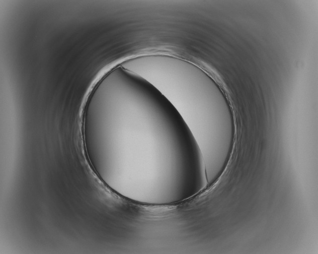 X0000114551200200910190945
