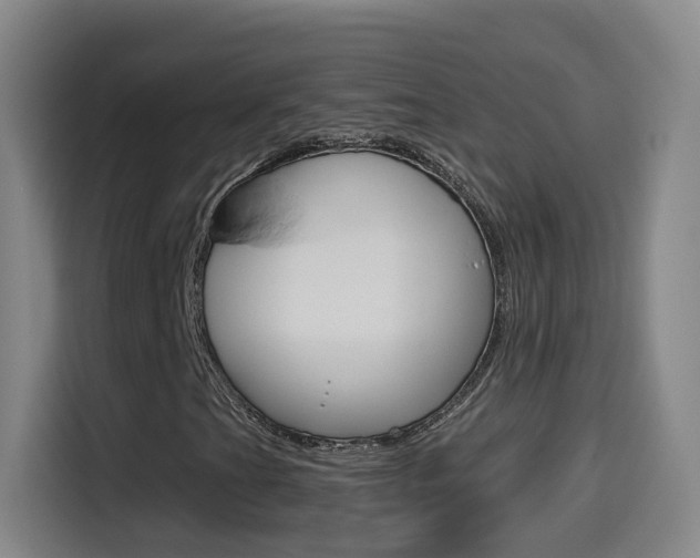 X0000114551201200910190944