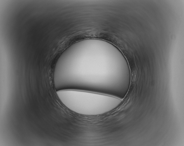 X0000114551202200910190944
