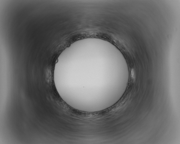 X0000114551203200910190944
