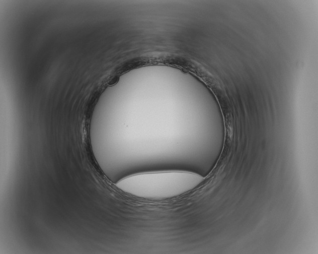 X0000114551204200910190944