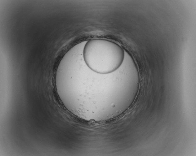 X0000114551205200910190944