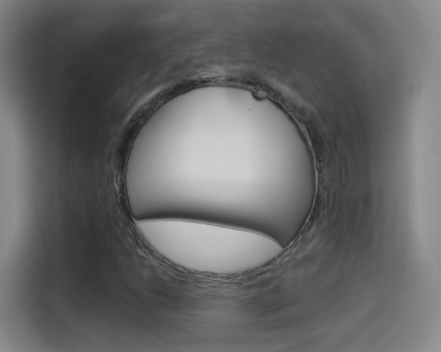X0000114551206200910190944