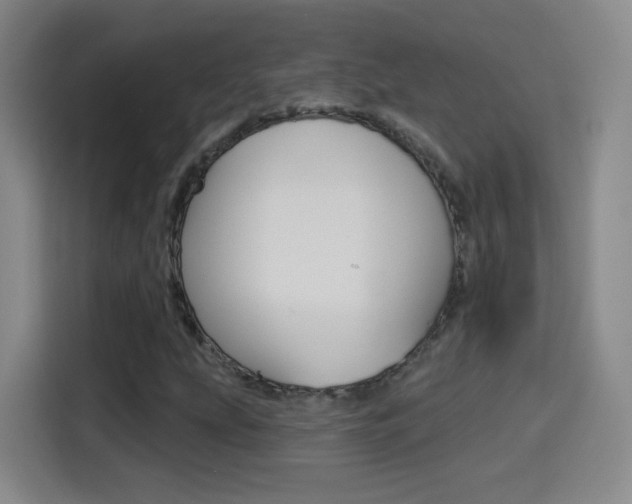 X0000114551207200910190944
