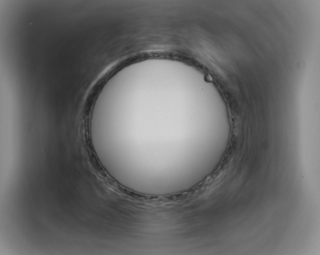 X0000114551208200910190944