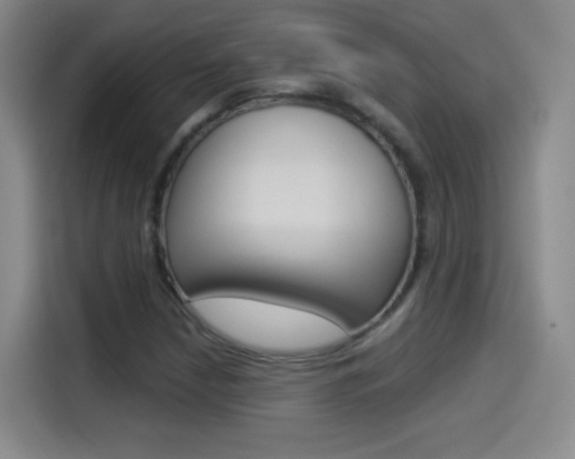 X0000114551210200910190944