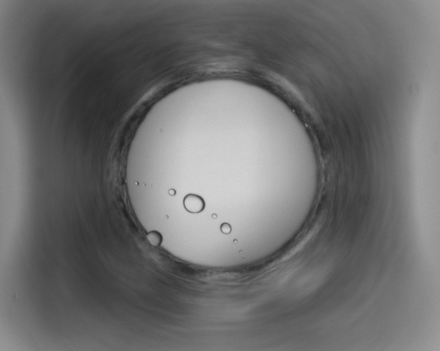 X0000114551211200910190944