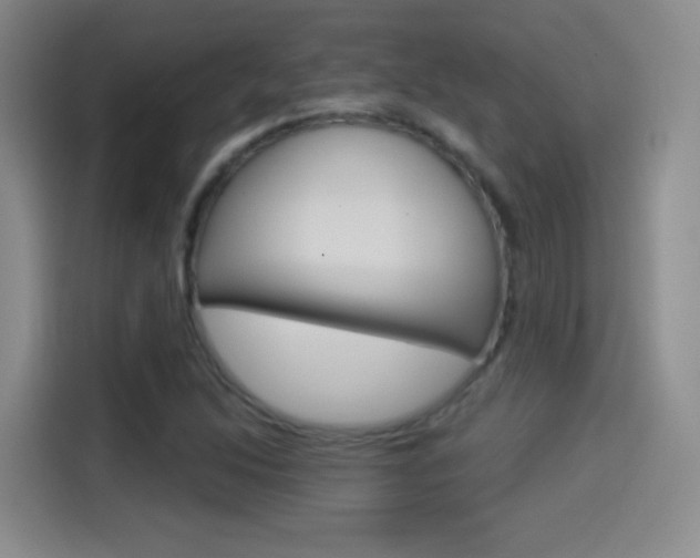X0000114551214200910190944