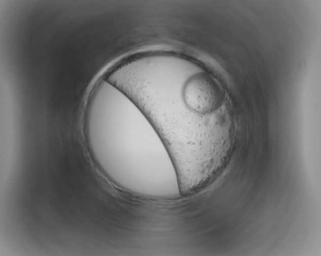 X0000114551216200910190944