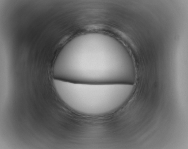 X0000114551217200910190944