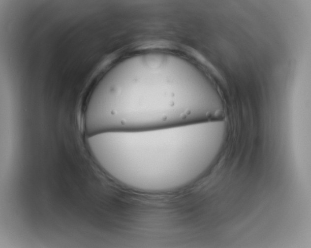 X0000114551221200910190944
