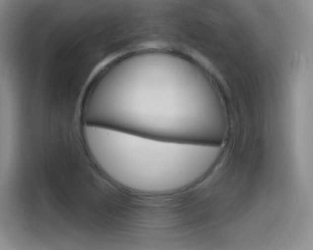 X0000114551222200910190944