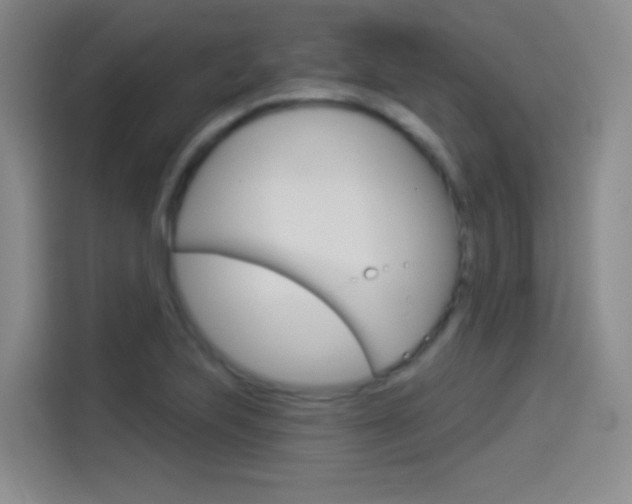 X0000114551223200910190945