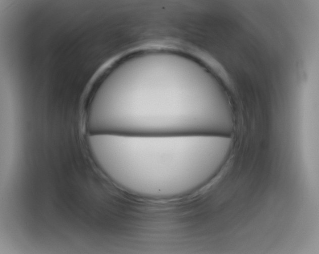 X0000114551224200910190945