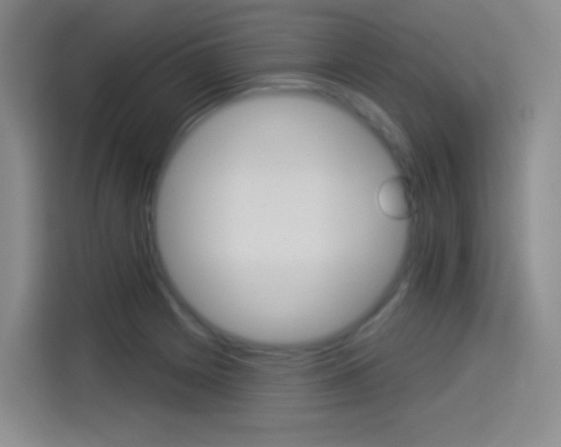X0000114551225200910190945