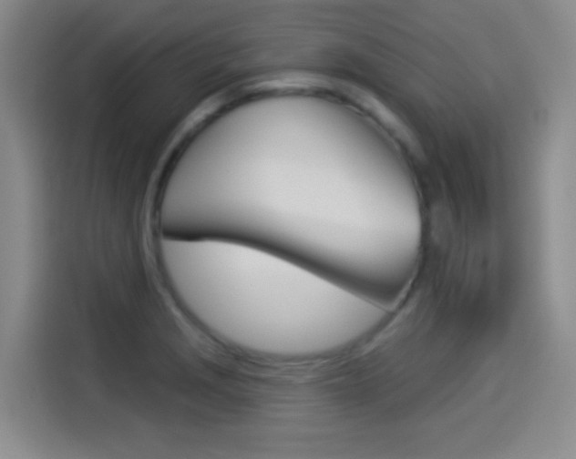 X0000114551229200910190945