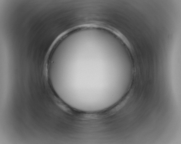 X0000114551232200910190945
