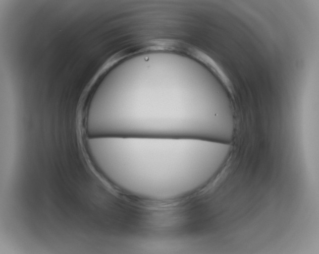 X0000114551235200910190945