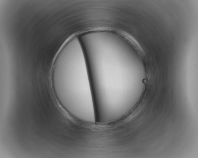 X0000114551236200910190945