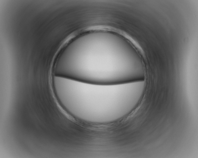 X0000114551237200910190945