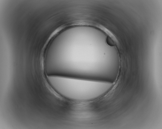 X0000114551238200910190945