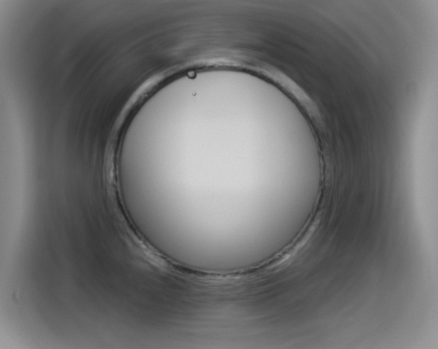 X0000114551240200910190945