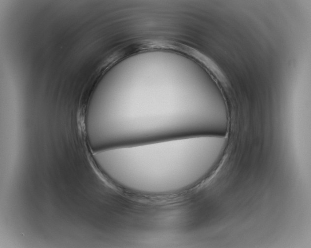 X0000114551241200910190945