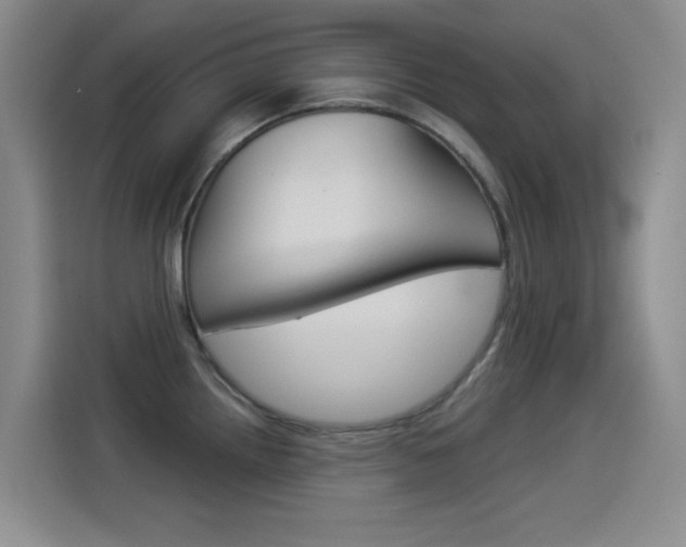 X0000114551242200910190945