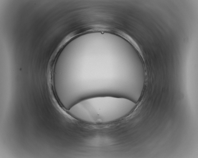 X0000114551243200910190945