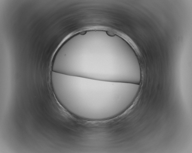 X0000114551244200910190945