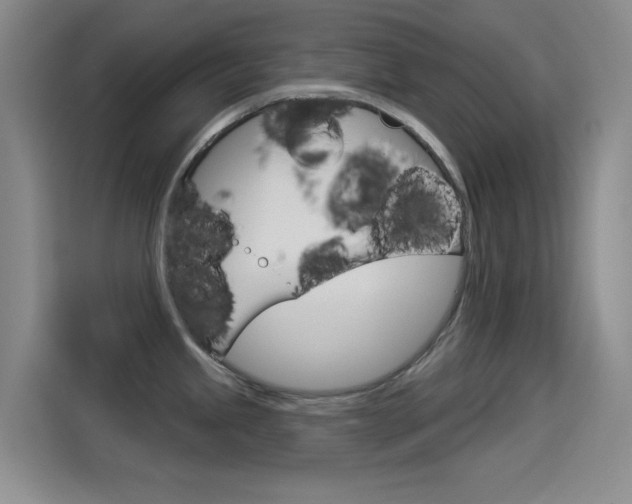 X0000114551245200910190945