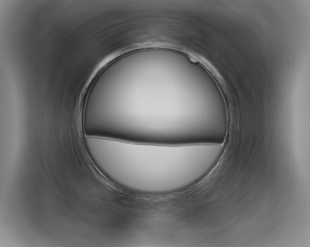 X0000114551246200910190945