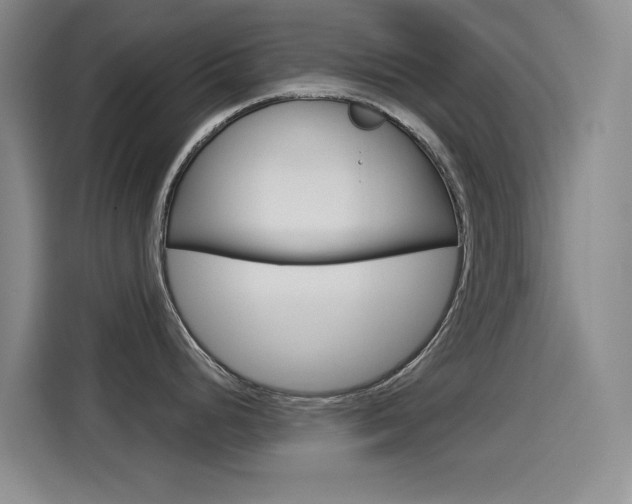 X0000114551248200910190945