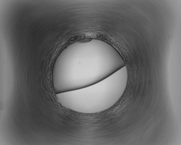 X0000114551249200910190944