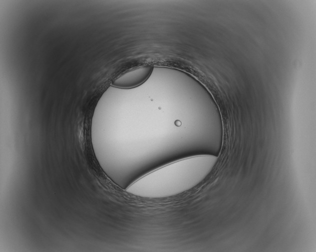 X0000114551250200910190944