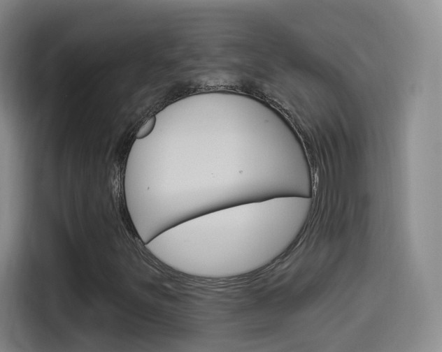 X0000114551251200910190944
