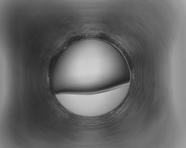 X0000114551252200910190944